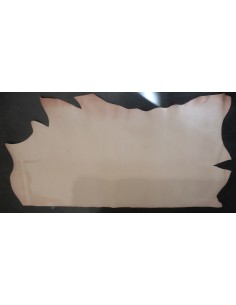 BANDE VEG. NAT. VVN 14/16 1° chx