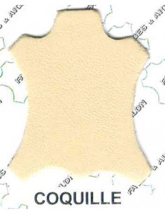 AGNEAU PLONGE BJ 06/08 COULEUR 1° chx COQUILLE