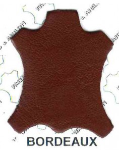 AGNEAU PLONGE BJ 06/08 COULEUR 1° chx BORDEAUX