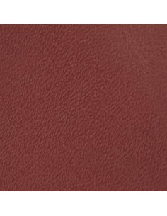 BANDE VEAU NAPPA TERRE 12/14 NOIR et COULEURS 1° chx