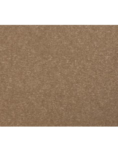 PLAQUE SYNDERME SALAMENDER (SALPA) POUR PREMIERES OU RENFORTS