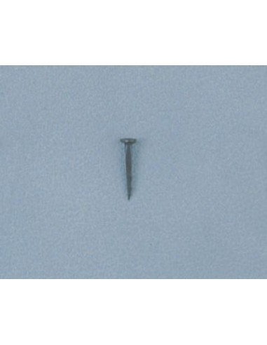 SEMENCES CORDONNIER ACIER TETE FRAISEE BLEUIES - AU LION - RIVIERRE