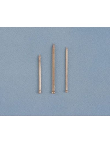 POINTES TETE HOMME CUIVREE - LION ROUGE - RIVIERRE