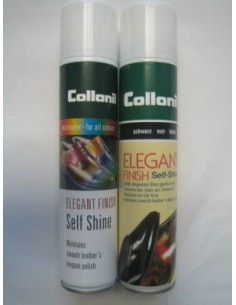 ELEGANT FINISH - AEROSOL 200ML