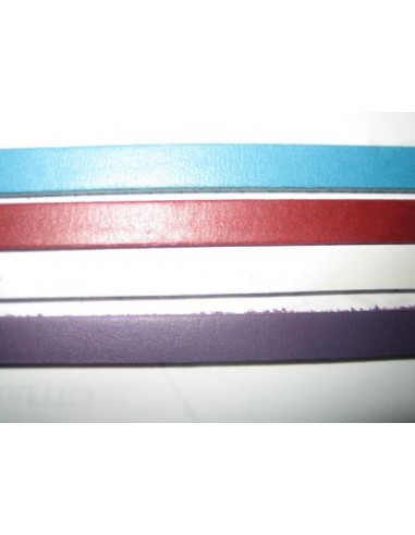 BRACELET/CUIR - 10MM - 11 coloris