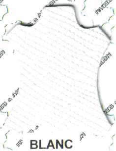 CHEVRE TANNAGE MINERAL GRAIN IGUANE 0.7/0.9MM