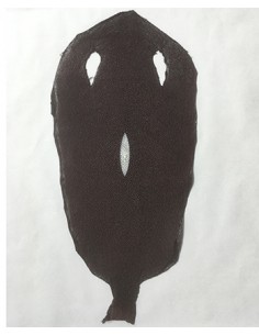 PEAU DE GALUCHAT PERLE 8 inch MARRON