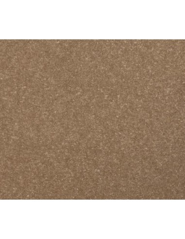 PLAQUE SYNDERME SALAMENDER (SALPA) POUR PREMIERES OU RENFORTS