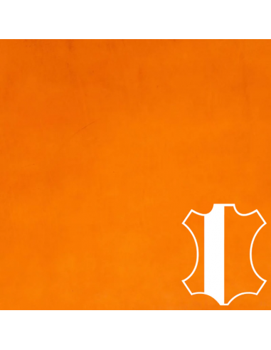 DEMI-DOSSET NIAGARA VEGETAL 40/45