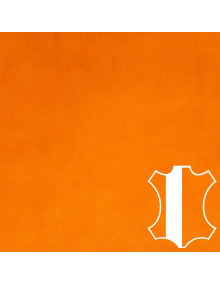 DEMI-DOSSET NIAGARA VEGETAL 40/45