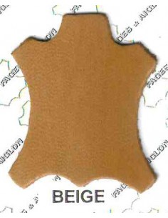 AGNEAU PLONGE BJ 06/08 COULEUR 1° chx BEIGE