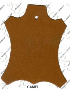 AGNEAU PLONGE BJ 06/08 COULEUR 1° chx CAMEL