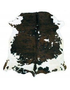 VACHE NORMANDE AVEC POILS 5 M²