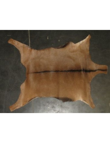 CHEVRES DU POITOU  GT