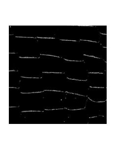 BANDE VACHETTE GRAIN MINI CROCO - TANNAGE MINERAL - CARL 1.2/1.4MM