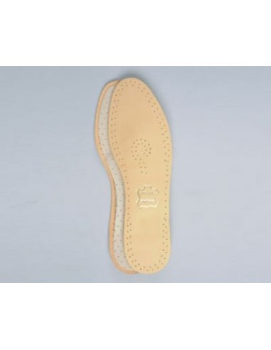 SOUTIEN PLANTAIRE REF.57 35X46