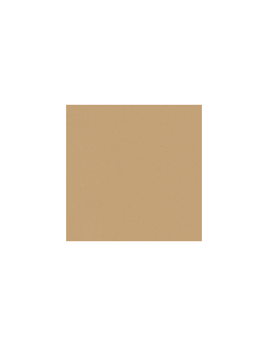 PLAQUE EVA ORTHESES PLANTAIRES - LUNACELL A - nora®