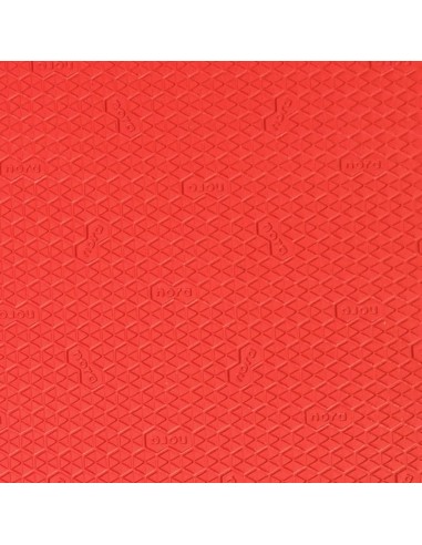 PLAQUE CAOUTCHOUC CELLULAIRE ASTROLIGHT DELTA 6MM ROUGE - nora®