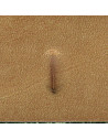 MATOIR A FRAPPER - TANDY LEATHER