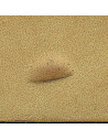 MATOIR A FRAPPER - TANDY LEATHER