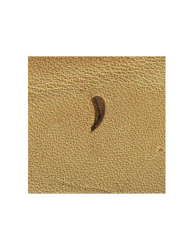 MATOIR A FRAPPER - TANDY LEATHER