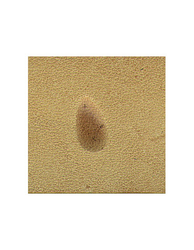 MATOIR A FRAPPER - TANDY LEATHER