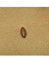 MATOIR A FRAPPER - TANDY LEATHER