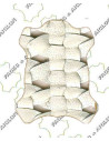 TRESSE SUR CHEVRE AJOURE 4MM EN LARGEUR 0.7M