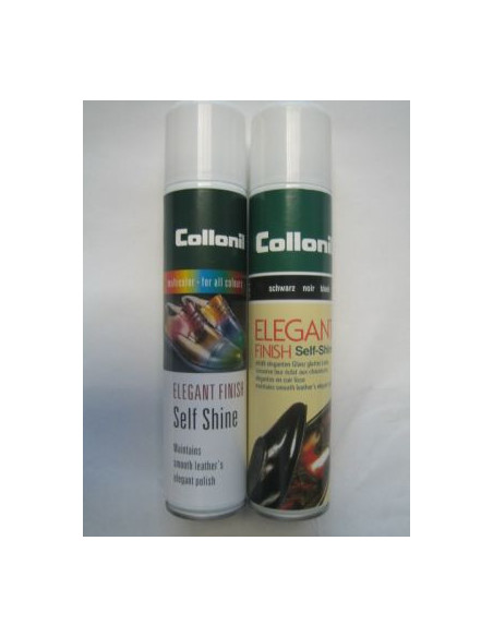 ELEGANT FINISH - AEROSOL 200ML