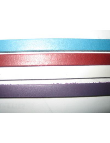 BRACELET/CUIR - 10MM - 11 coloris
