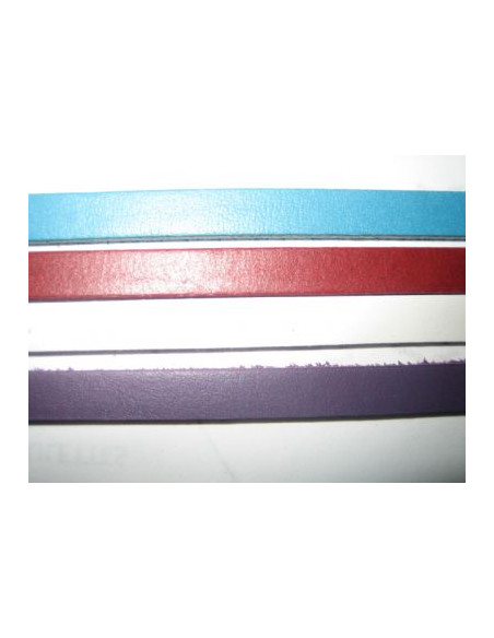 BRACELET/CUIR - 10MM - 11 coloris