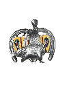 BOUCLE USA EMAIL - A L'UNITE