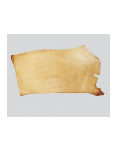 CROUPON CUIR AVA 4/5MM