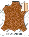 BANDE TAURILLON ARBOLA TANNAGE MINERAL GRAIN GALUCHAT 1.2/1.4MM