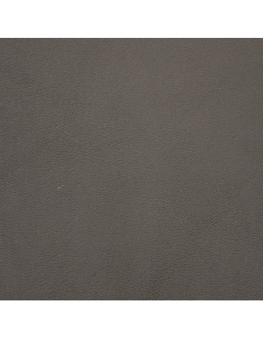 BANDE VEAU CLASSIQUE CDT COULEUR 10/12