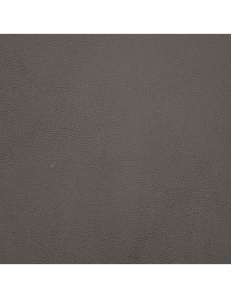 BANDE VEAU CLASSIQUE CDT COULEUR 10/12