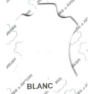 CHEVREAU GLACE ARTIS  1° chx  BLANC 06/08