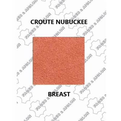 CROUTE  NUBUCKEE  14/16 COL BREAST 264